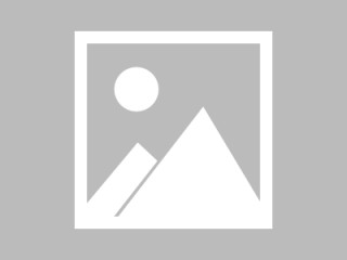 公牛队逆袭成功，主场击败篮网队实现惊险逆转